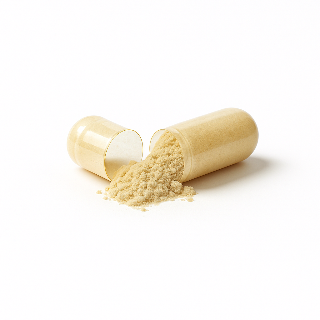 Milchsäurebakterien und B-Vitamine
